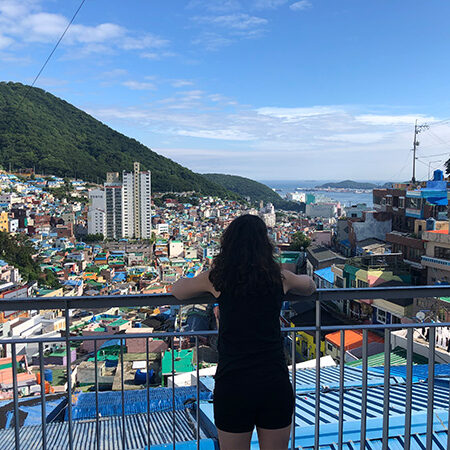 Looking-Over-South-Korea